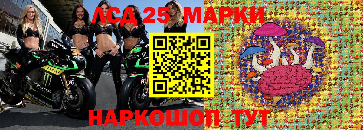 Наркотические марки 1500мкг  Наркотические марки 1500мкг  Вход с VPN  Шарыпово 