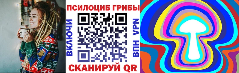 наркотики  Шарыпово  Псилоцибиновые грибы мицелий 
