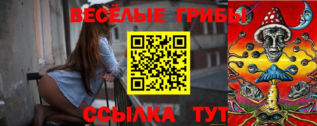 Шарыпово  Галлюциногенные грибы Psilocybe  Вход с VPN 