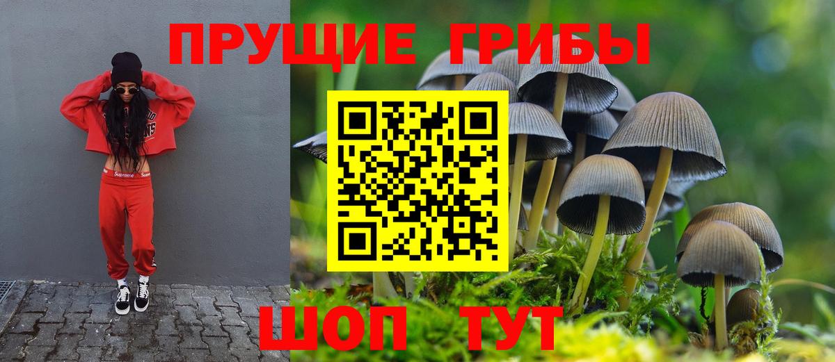 Шарыпово  ГАШ  COCAIN  Меф МЯУ МЯУ   Бошки Шишки  Меф МЯУ МЯУ  Вход с VPN  Где найти наркотики? 